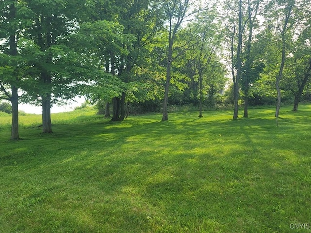 243RLOT Becketts Ln, Onondaga, NY 13215 - photo 6