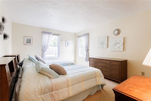 281 Burley Rd, Rochester, NY 14612 - bedroom with light colored carpet and a textured ceiling