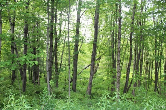 Westdale Rd Unit 16, Florence, NY 13316 - photo 29