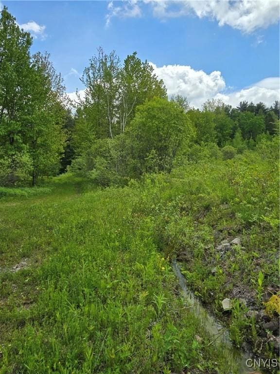 Westdale Rd Unit 16, Florence, NY 13316 - photo 31