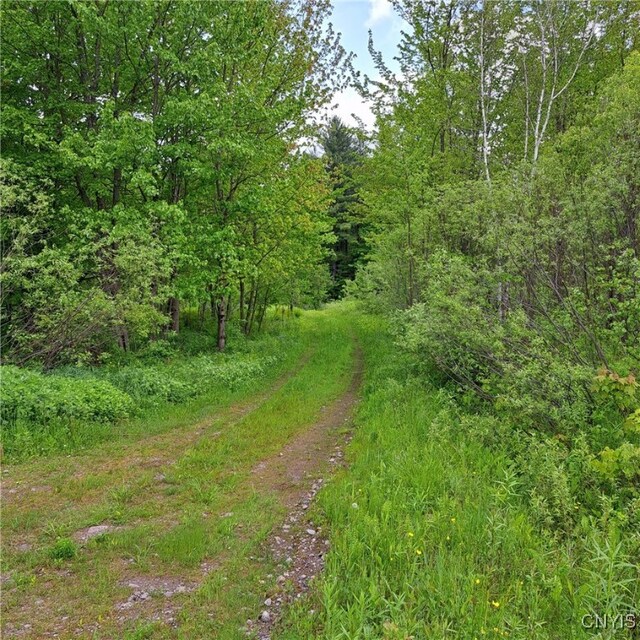 Westdale Rd Unit 16, Florence, NY 13316 - photo 32