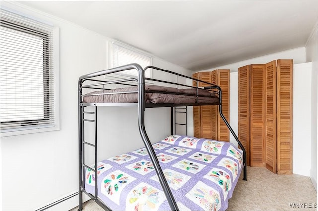 17 Porter Center Rd Unit N, Porter, NY 14174 - bedroom featuring multiple windows, carpet, and a baseboard heating unit