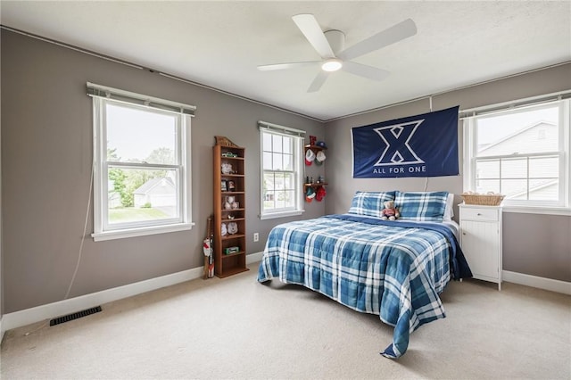 74 Broadmoor Trl, Perinton, NY 14450 - bedroom featuring multiple windows and carpet floors