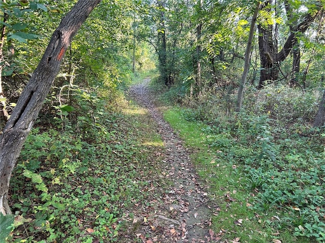 74 Broadmoor Trl, Perinton, NY 14450 - view of wooded area
