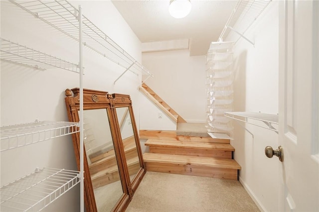 3 Legacy Oak Trl, Henrietta, NY 14534 - walk in closet featuring carpet floors