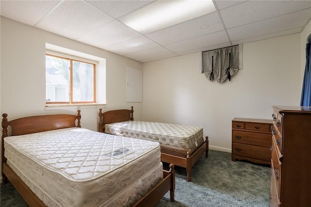 3 Legacy Oak Trl, Henrietta, NY 14534 - bedroom featuring carpet floors and a paneled ceiling