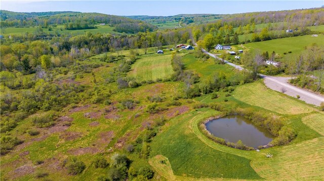 180 Upper Ravine Rd, Norwich-Town, NY 13815 - photo 30