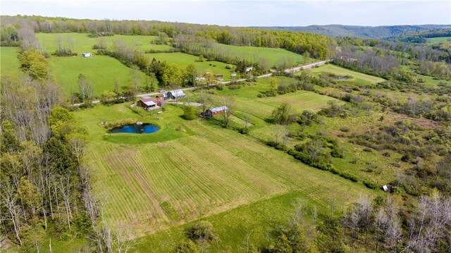 180 Upper Ravine Rd, Norwich-Town, NY 13815 - photo 3