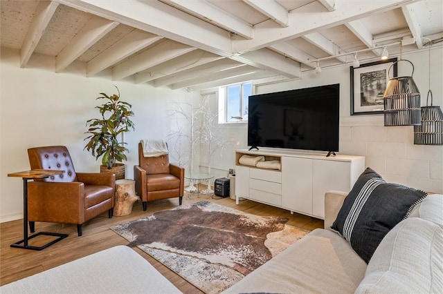 2309 Mcburney Rd, Phelps, NY 14432 - living area with beam ceiling and wood finished floors