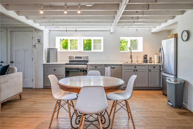 2309 Mcburney Rd, Phelps, NY 14432 - kitchen featuring gray cabinetry, appliances with stainless steel finishes, a sink, track lighting, and plenty of natural light