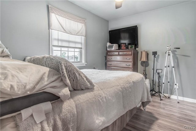 1 Carol Dr, Adams, NY 13605 - bedroom with wood finished floors and a ceiling fan
