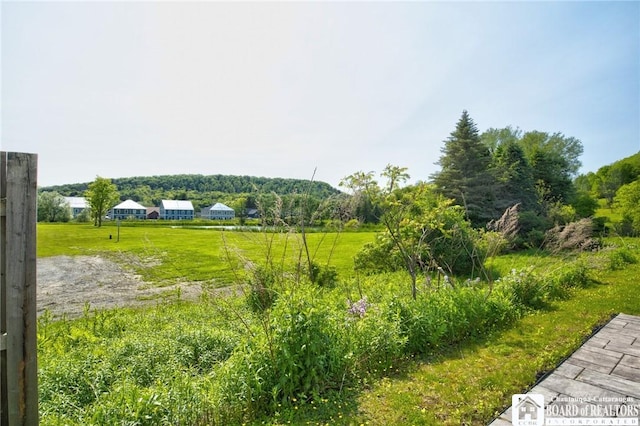 20 Glen Burn, Ellicottville, NY 14731 - photo 4