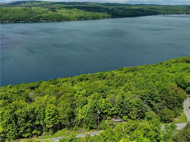 130 E Lake Rd, Middlesex, NY 14544