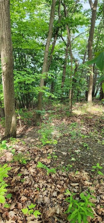 130 E Lake Rd, Middlesex, NY 14544