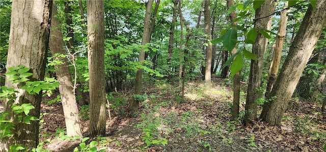 130 E Lake Rd, Middlesex, NY 14544
