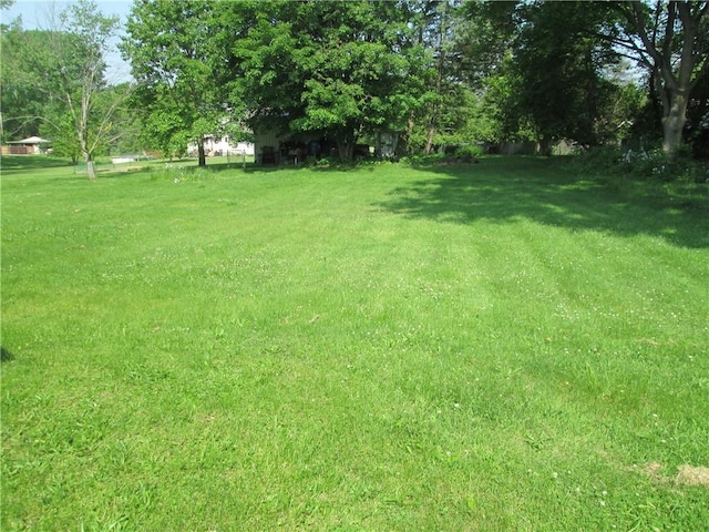 95 Wadsworth Ave, Avon, NY 14414 - view of grassy yard
