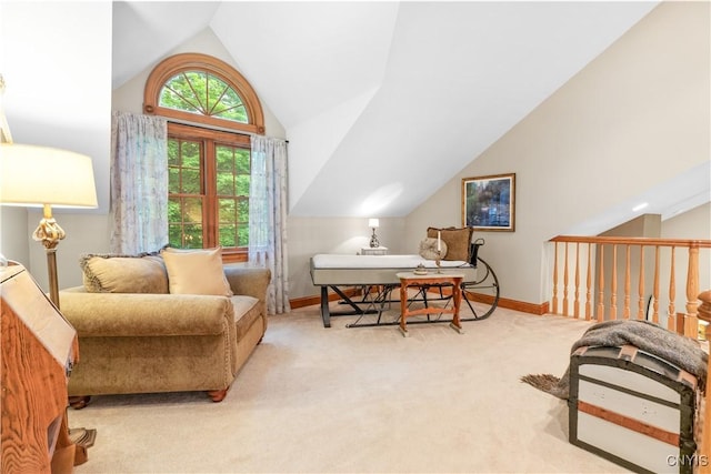 55 Redmond Rd, Trenton, NY 13304 - carpeted home office with vaulted ceiling and baseboards