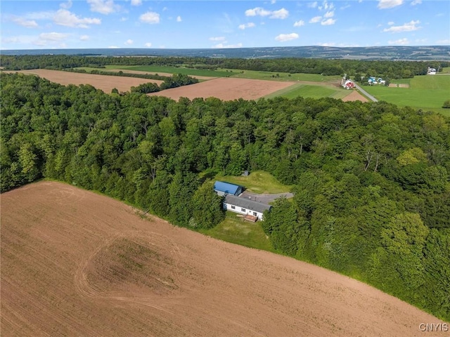 6669 Rottamore Rd, Stockbridge, NY 13409 - view of rural area featuring a heavily wooded area