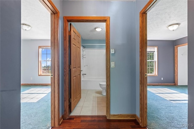 6669 Rottamore Rd, Stockbridge, NY 13409 - hallway with baseboards, carpet floors, and a textured ceiling
