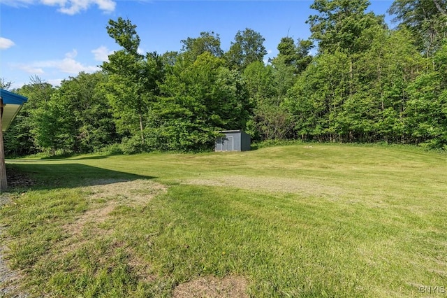6669 Rottamore Rd, Stockbridge, NY 13409 - view of grassy yard