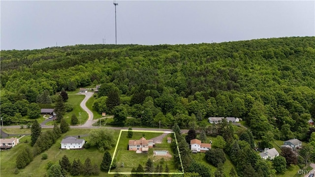 3477 Mcclary Rd, Lafayette, NY 13084 - aerial view of property's location with a forest and property parcel outlined