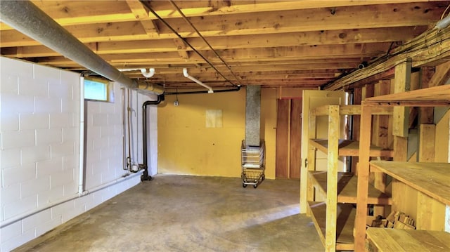 6251 Willard St, Aurelius, NY 13034 - view of basement
