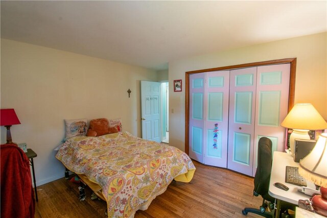 249 Glasgow St, Galen, NY 14433 - bedroom with wood finished floors and a closet