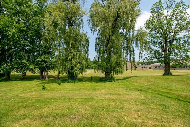 249 Glasgow St, Galen, NY 14433 - view of green lawn