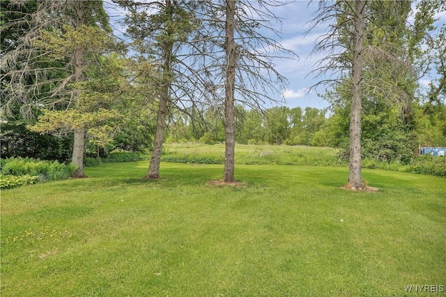 65 E Main St, Arcade, NY 14009 - view of green lawn