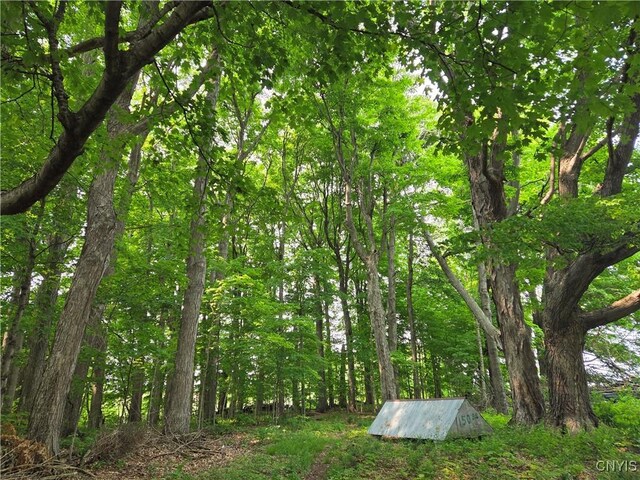 11311 S Landing Rd, Ellisburg, NY 13661 - photo 34
