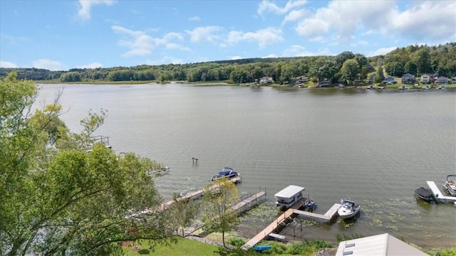 7854 Eagle Rd, Wolcott, NY 14590 - photo 10