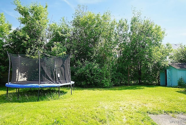 2927 S Ave, Niagara Falls, NY 14305 - view of green lawn featuring a trampoline