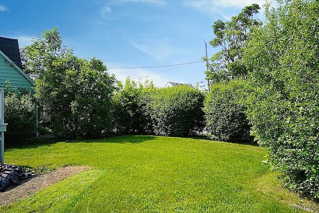 2927 S Ave, Niagara Falls, NY 14305 - view of green lawn
