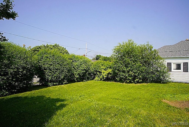 2927 S Ave, Niagara Falls, NY 14305 - view of grassy yard