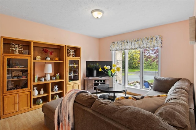 106 Shingle Landing Dr, Irondequoit, NY 14609 - living area featuring light wood finished floors