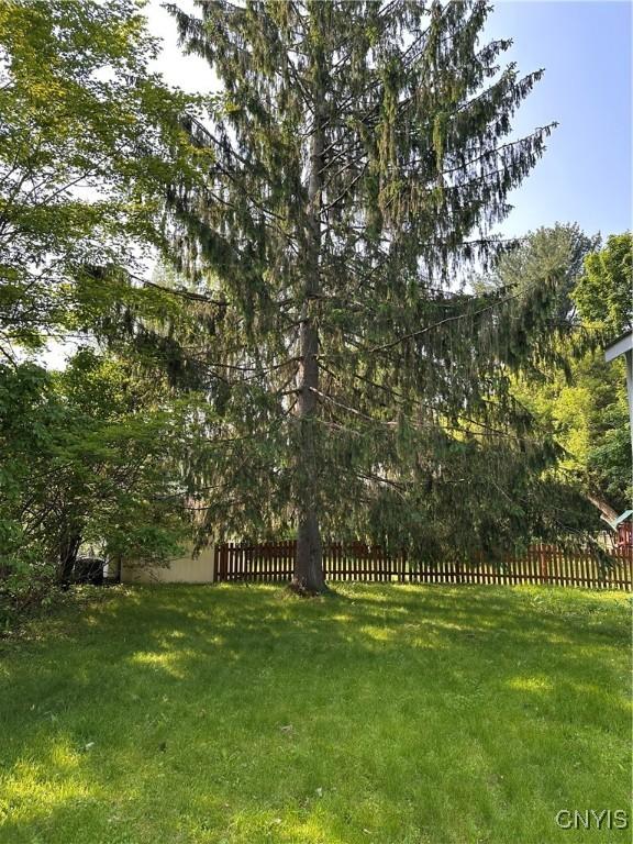 28 Payne St, Hamilton, NY 13346 - view of yard