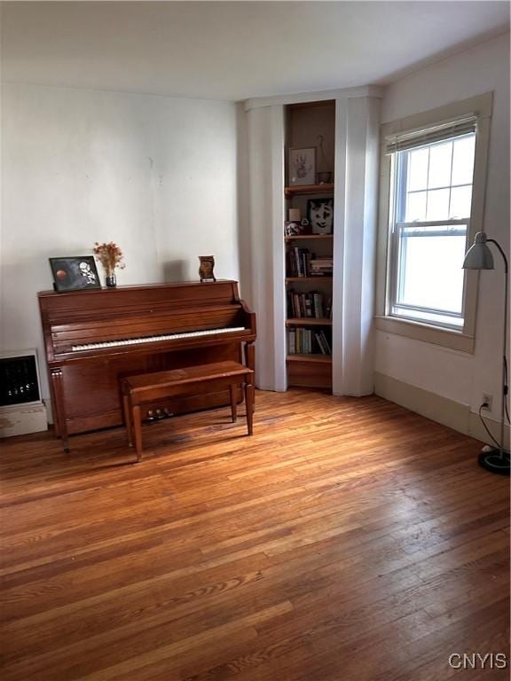 28 Payne St, Hamilton, NY 13346 - living area with light wood-style flooring