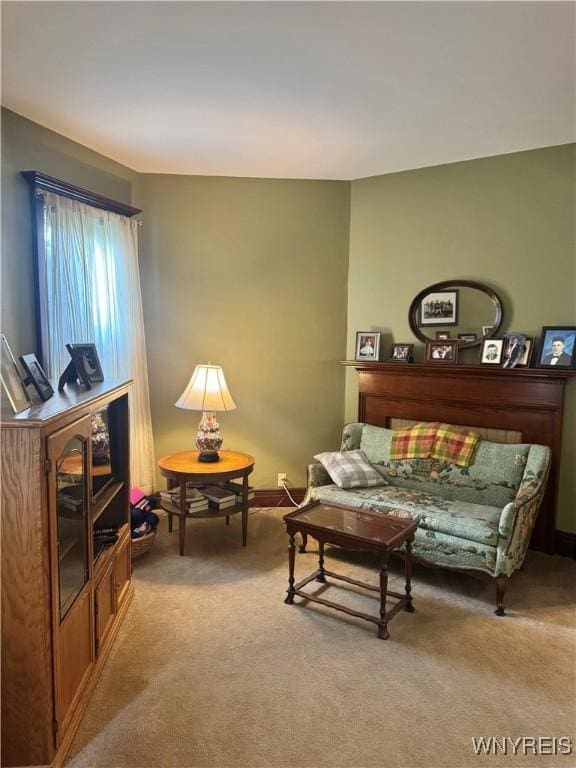 1317 Mckinley Pkwy, Lackawanna, NY 14218 - photo 18