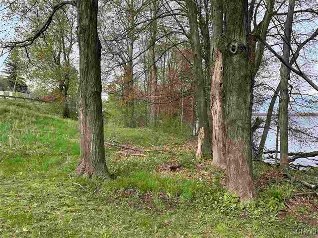 Jennies Is, Morristown, NY 13664 - photo 9
