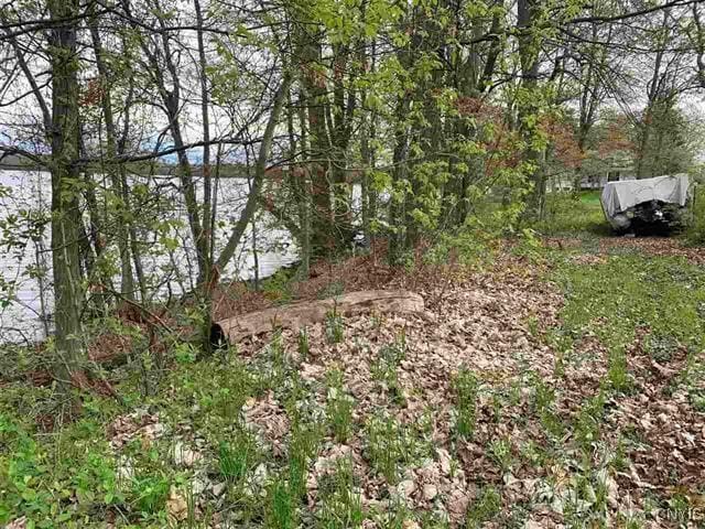 Jennies Is, Morristown, NY 13664 - photo 2
