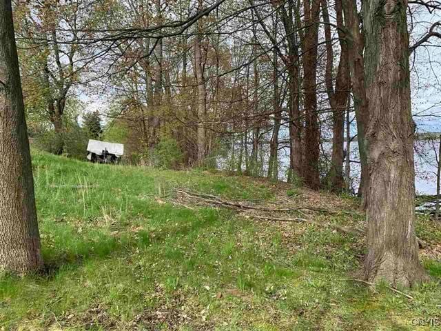 Jennies Is, Morristown, NY 13664 - photo 3
