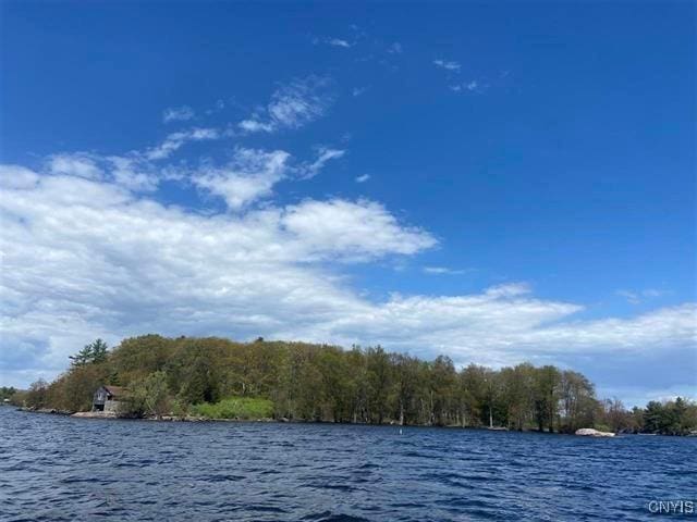 Jennies Is, Morristown, NY 13664 - photo 4