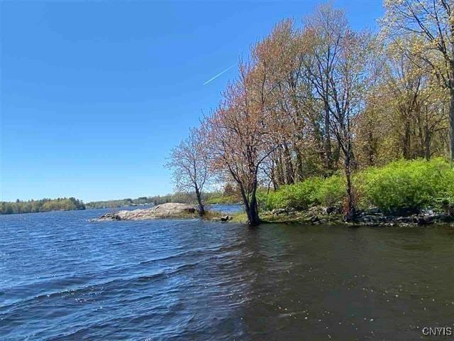 Jennies Is, Morristown, NY 13664 - photo 7