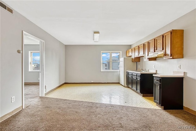 639 17th St, Niagara Falls, NY 14301 - kitchen featuring light carpet, freestanding refrigerator, light countertops, and a sink