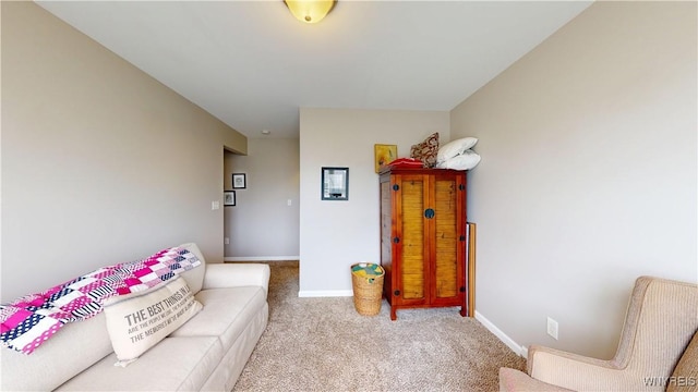 41 Brocton Dr, Lancaster, NY 14086 - living area with carpet and baseboards