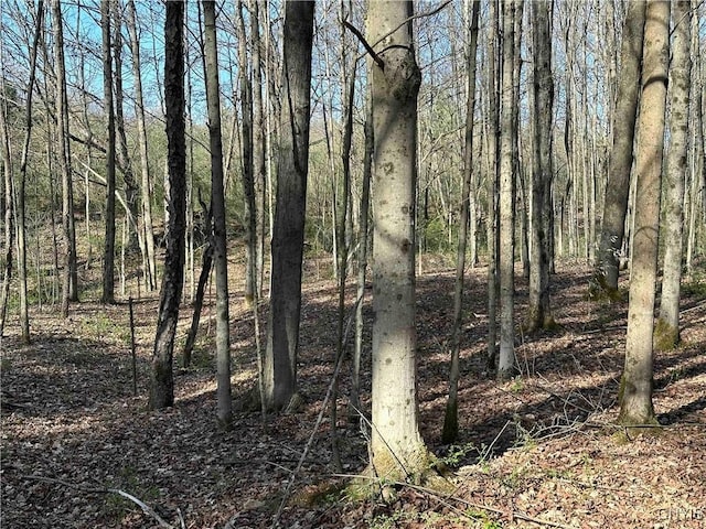 150 Cafferty Rd, Colesville, NY 13760