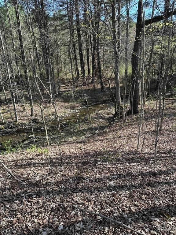 150 Cafferty Rd, Colesville, NY 13760