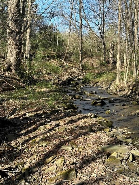 150 Cafferty Rd, Colesville, NY 13760
