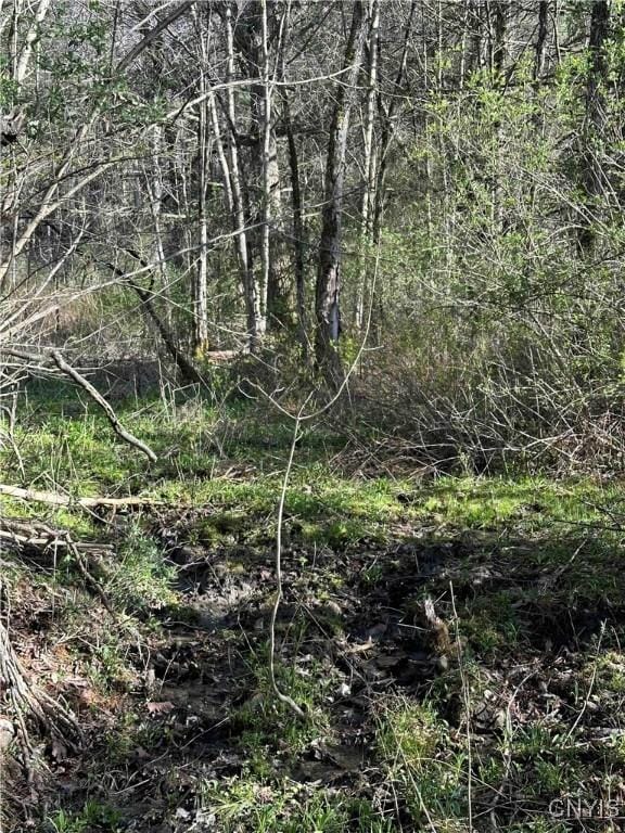 150 Cafferty Rd, Colesville, NY 13760