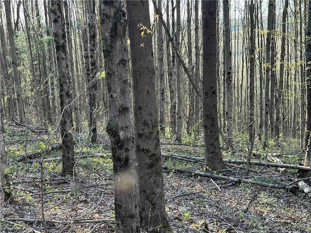 150 Cafferty Rd, Colesville, NY 13760